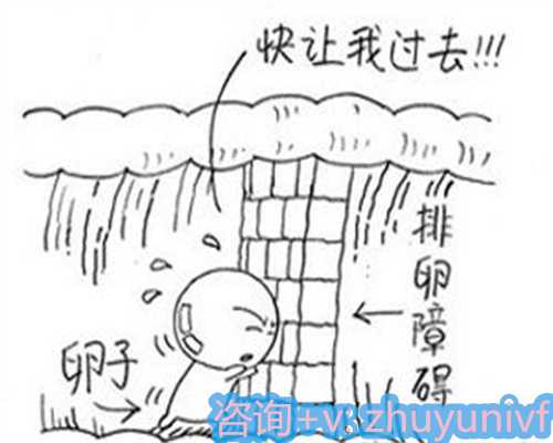 高龄试管助孕成功指南与健康宝宝解析