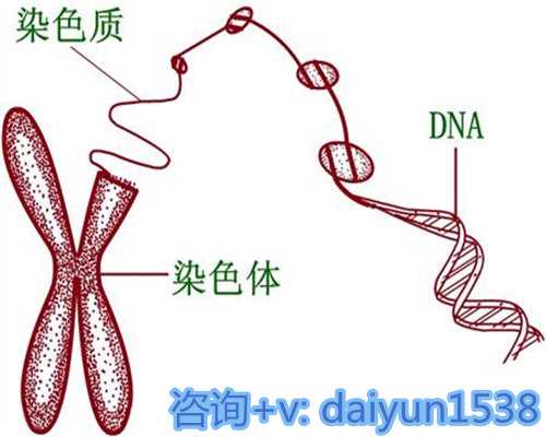 权威供卵试管医院成功率排名揭晓，中山医院领跑榜单
