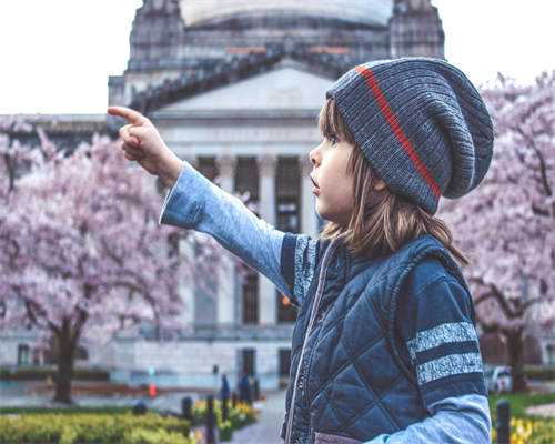 试管婴儿性别选择与单身妈妈户口办理指南